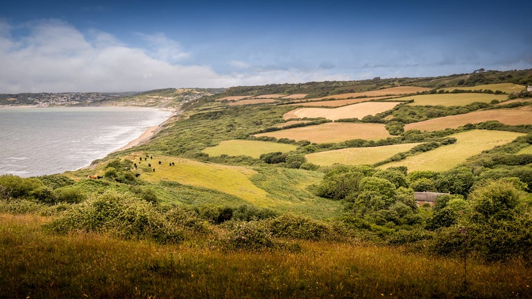 The coast at Golden Cap by St Gabriel's Elm Cottage, Dorset